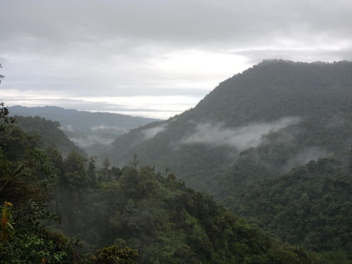 Biohostal Mindo Cloud Forest Exteriér fotografie